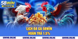 14-lich-da-ga-58win-hoan-tra-15
