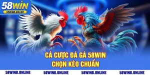 20-ca-cuoc-da-ga-58win-chon-keo-chuan