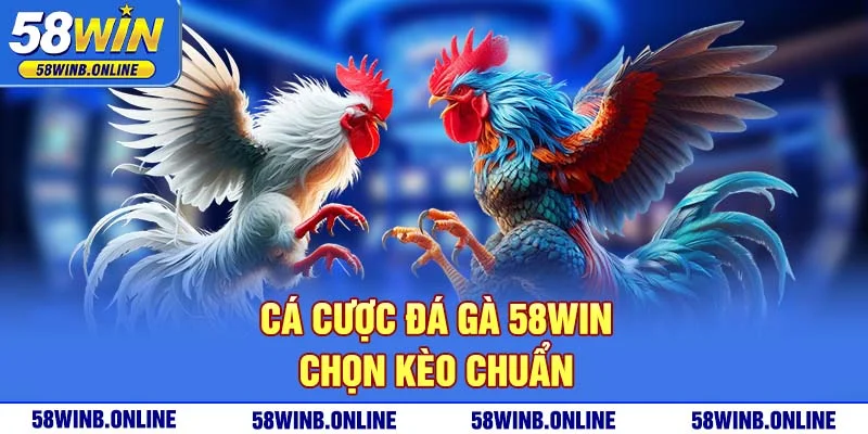 20-ca-cuoc-da-ga-58win-chon-keo-chuan