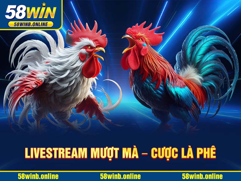 livestream-muot-ma-–-cuoc-la-phe